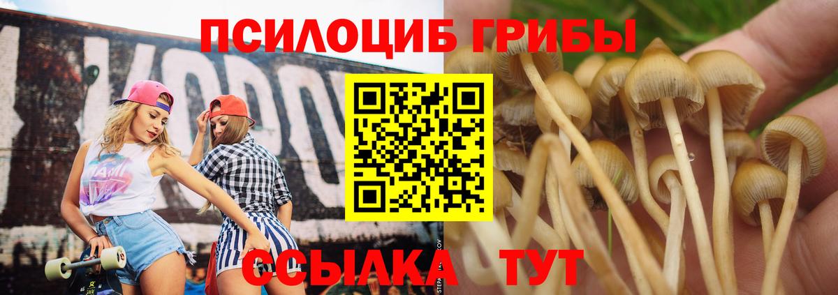 Боровичи  Галлюциногенные грибы GOLDEN TEACHER  Вход с VPN 